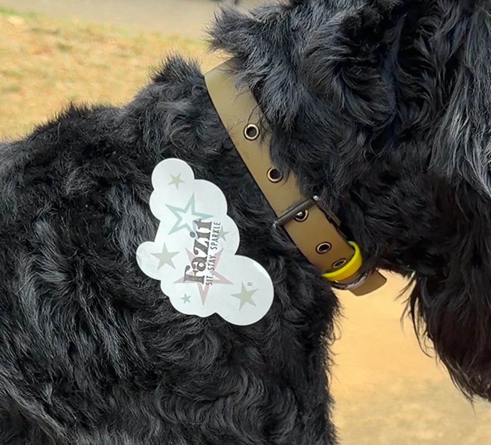 💫 Dog Fur Tattoos | Temporary, Waterproof & Easy-Off