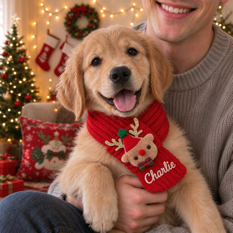 🧵🎄 DIY Christmas Pet Scarf Kit – Stitch Your Pet’s Name Yourself