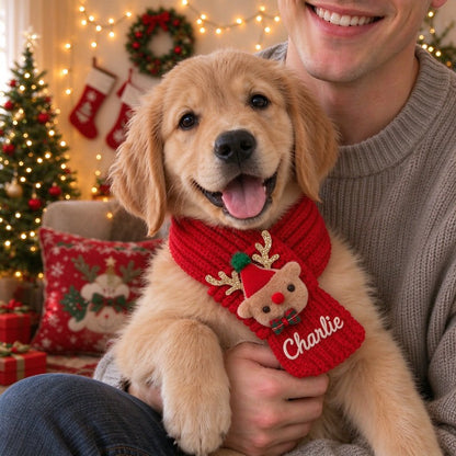 🧵🎄 DIY Christmas Pet Scarf Kit – Stitch Your Pet’s Name Yourself