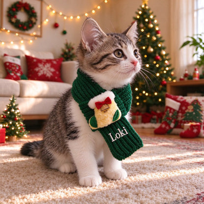 🧵🎄 DIY Christmas Pet Scarf Kit – Stitch Your Pet’s Name Yourself