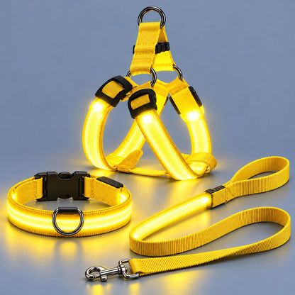 🐶✨ Glow & Go | LED Dog Harness & Leash Set