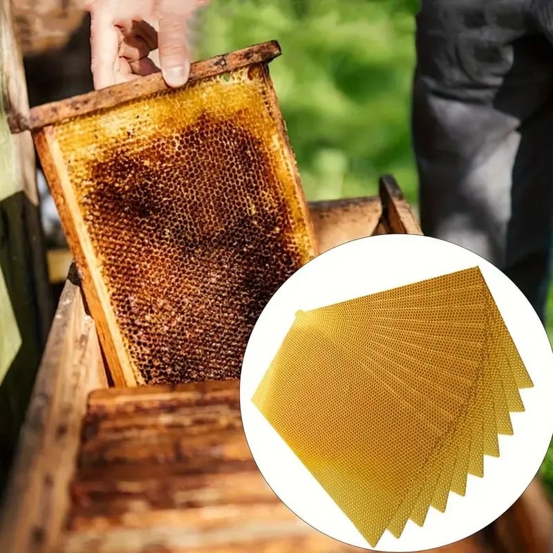 🕯️🐝 HoneyGlow DIY Beeswax Candle Kit – Roll, Create & Light Up Cozy Moments (12-Piece Set)