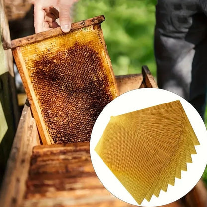 🕯️🐝 HoneyGlow DIY Beeswax Candle Kit – Roll, Create & Light Up Cozy Moments (12-Piece Set)