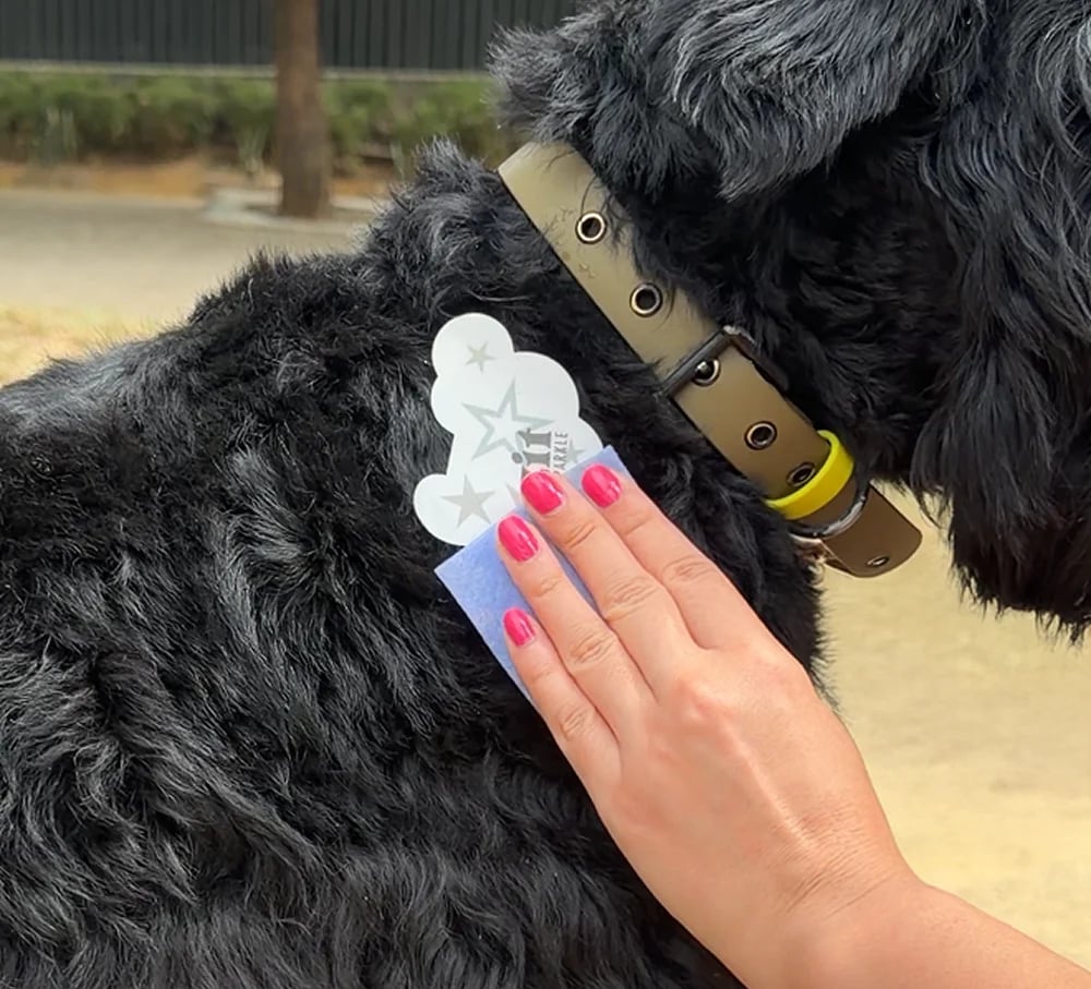 💫 Dog Fur Tattoos | Temporary, Waterproof & Easy-Off