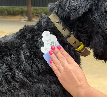💫 Dog Fur Tattoos | Temporary, Waterproof & Easy-Off