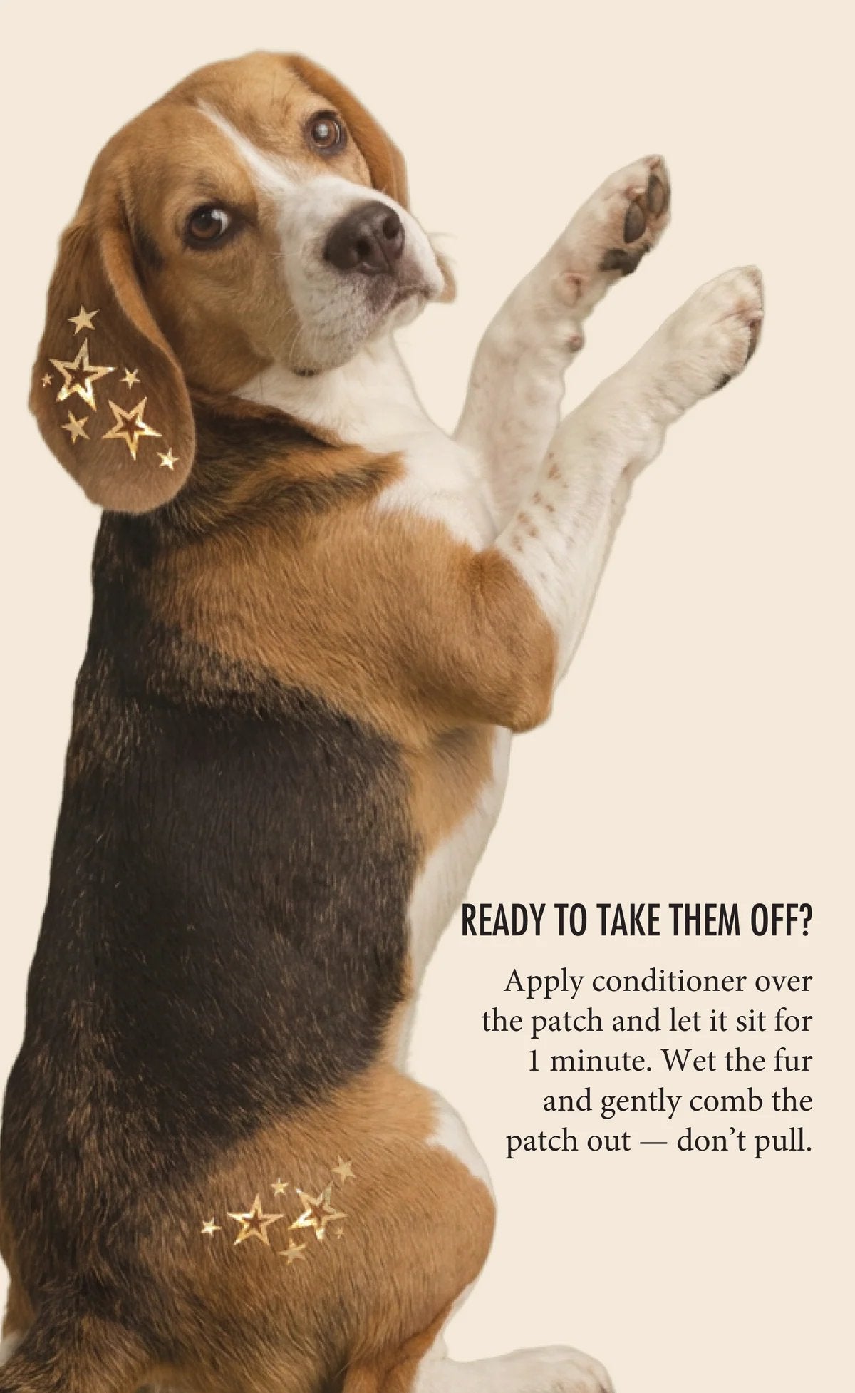 💫 Dog Fur Tattoos | Temporary, Waterproof & Easy-Off