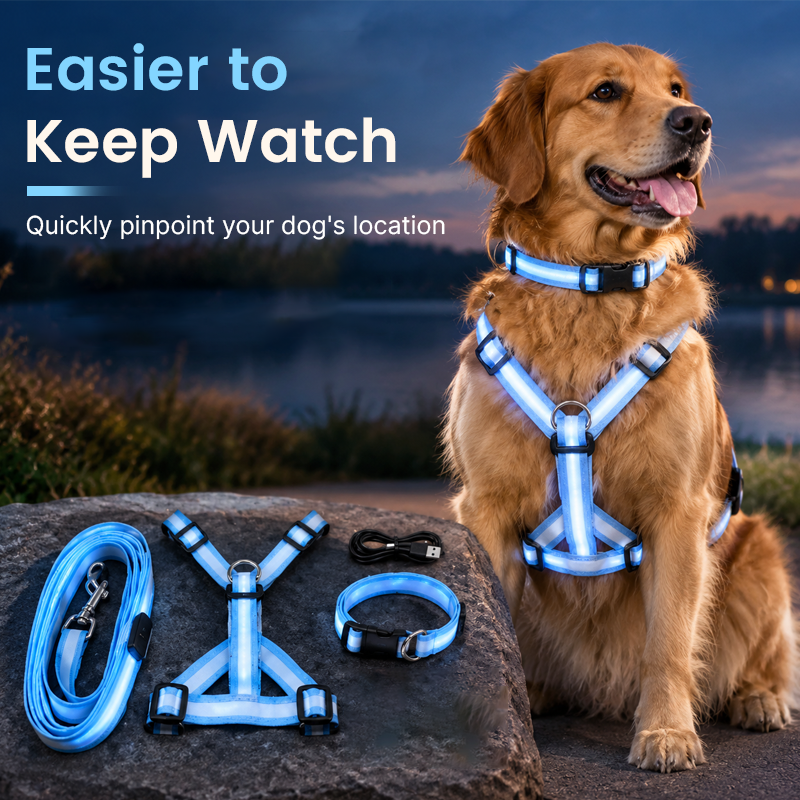 🐶✨ Glow & Go | LED Dog Harness & Leash Set