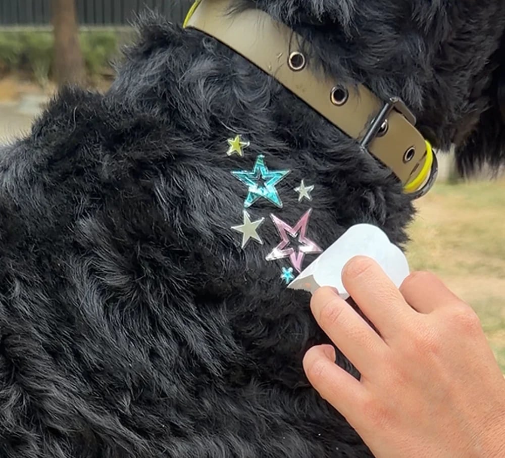 💫 Dog Fur Tattoos | Temporary, Waterproof & Easy-Off