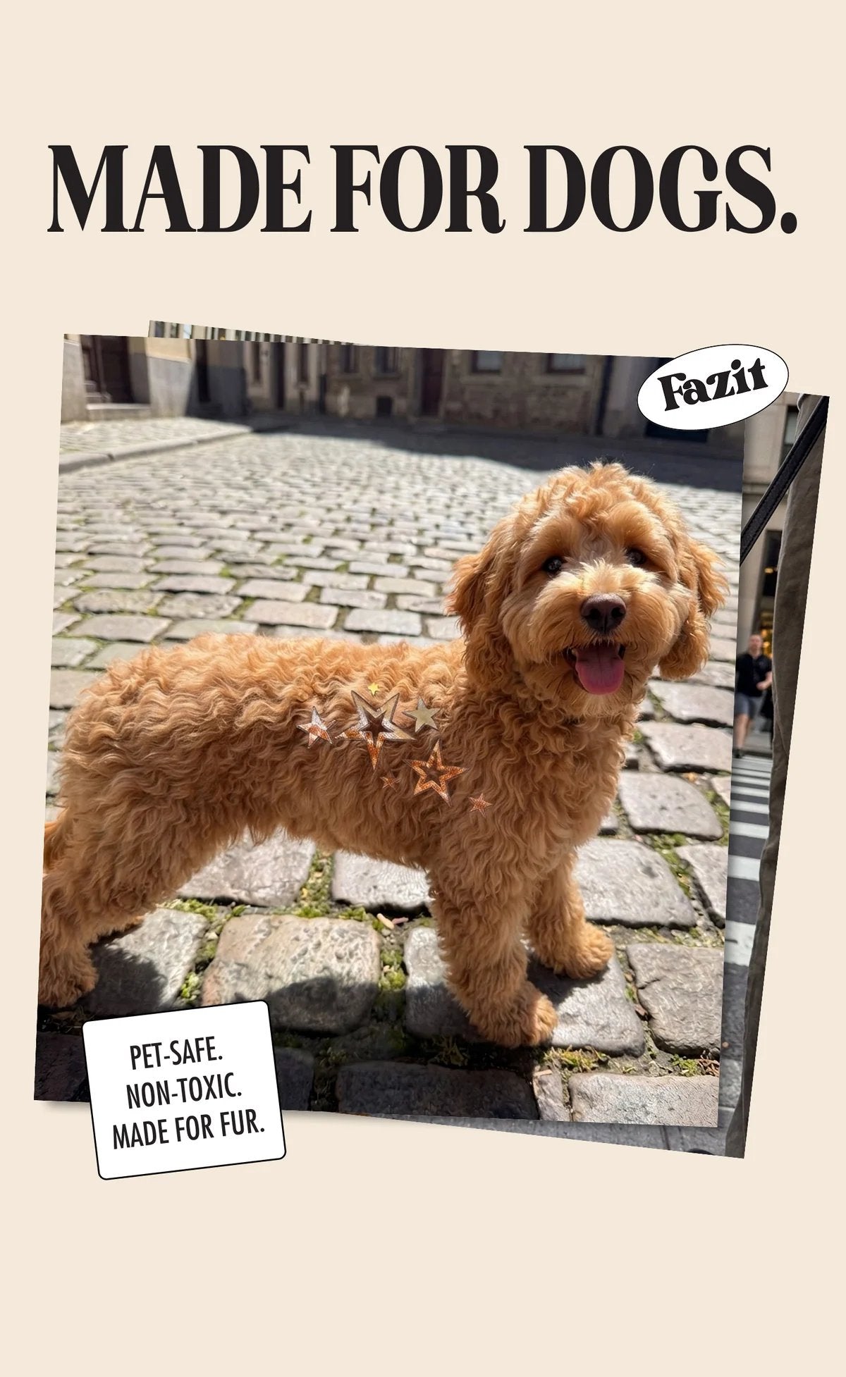 💫 Dog Fur Tattoos | Temporary, Waterproof & Easy-Off
