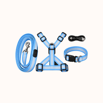 🐶✨ Glow & Go | LED Dog Harness & Leash Set