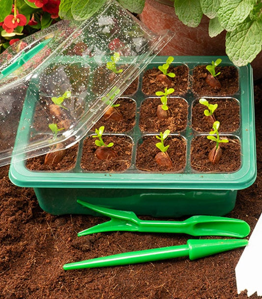 Adjustable Humidity Seed Starter Trays