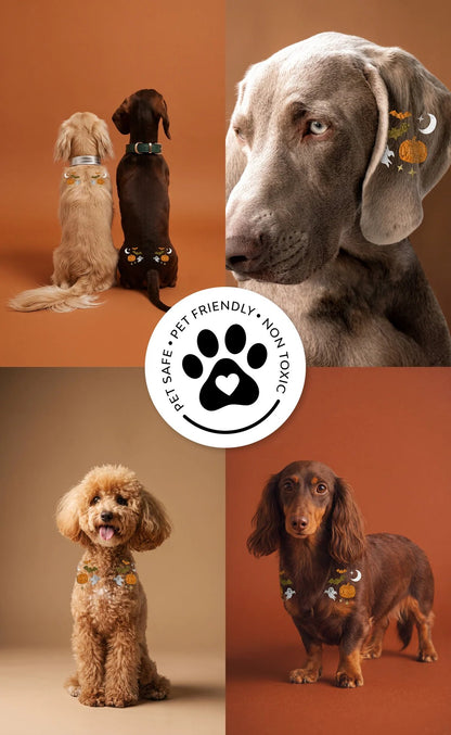 💫 Dog Fur Tattoos | Temporary, Waterproof & Easy-Off