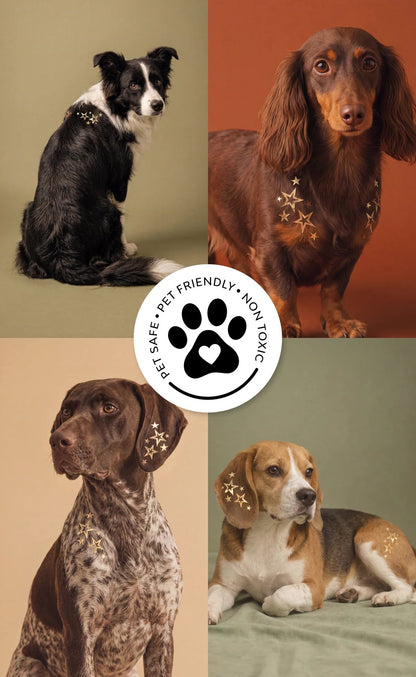 💫 Dog Fur Tattoos | Temporary, Waterproof & Easy-Off