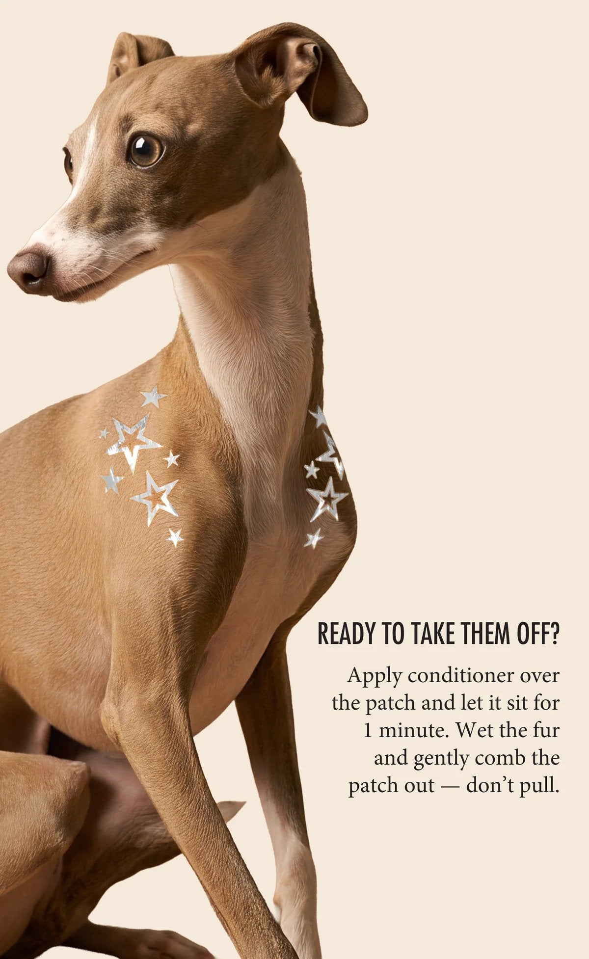💫 Dog Fur Tattoos | Temporary, Waterproof & Easy-Off