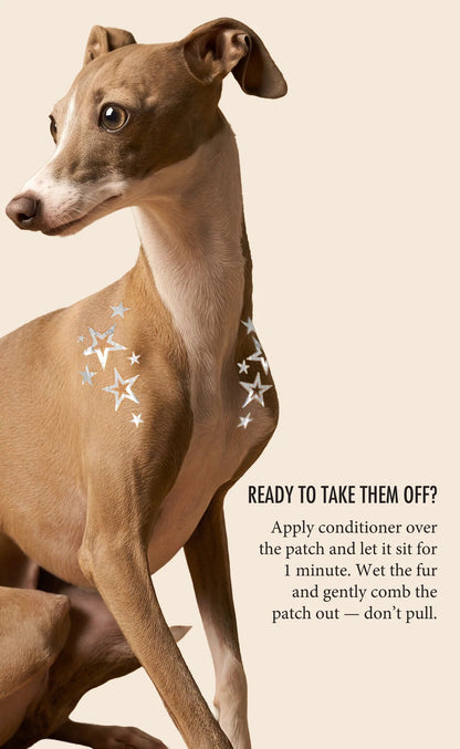 💫 Dog Fur Tattoos | Temporary, Waterproof & Easy-Off
