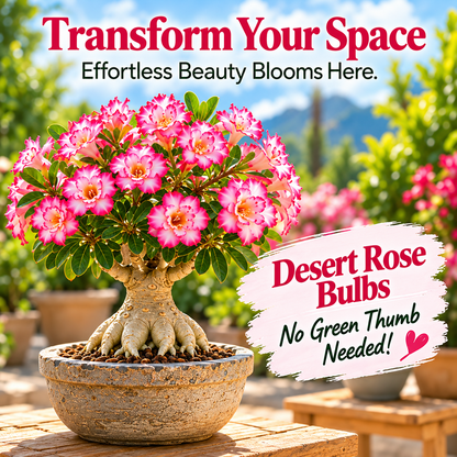 ✨🌸 Desert Rose – Low-Maintenance Exotic Flowering Plant