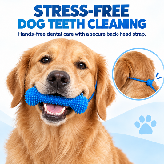 🐶🦷 CleanBite Dog Chew Stick – Hands-Free Teeth Cleaning Toy