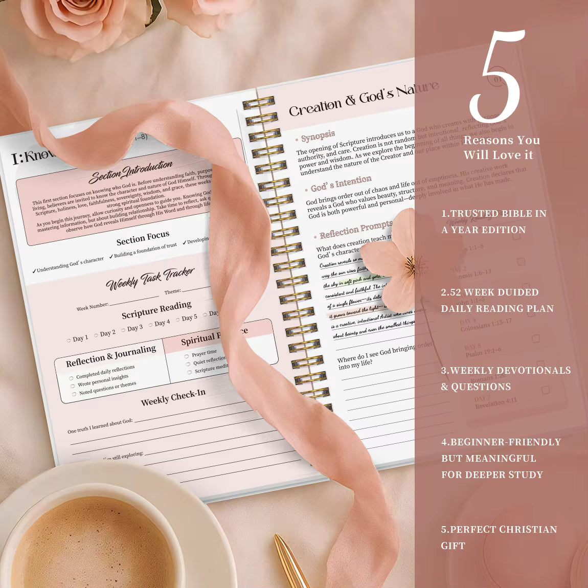 📖✨ 52 Weeks in the Word – Guided Bible Study for Women