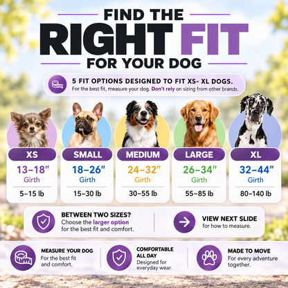 🐕✨ 3-Point Control Dog Harness – Reflective, Padded & Adjustable