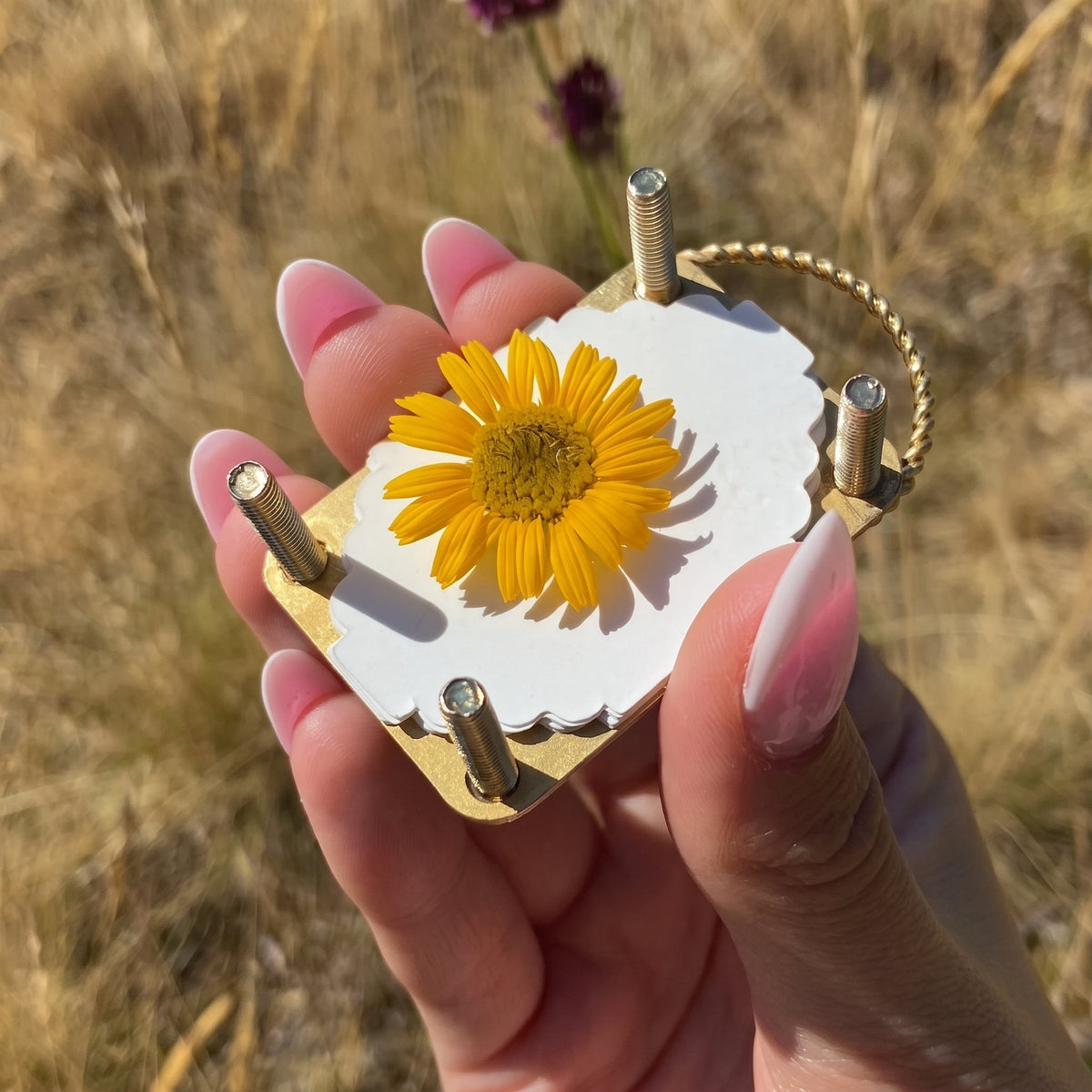 🌸 Tiny Blooms, Forever Kept | Mini Brass Flower Press