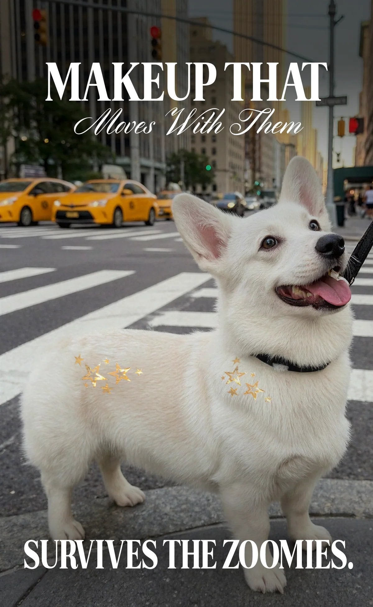 💫 Dog Fur Tattoos | Temporary, Waterproof & Easy-Off