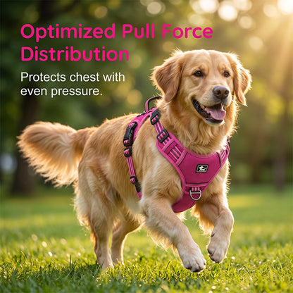 🐾🔥 Take Control of Every Walk | Heavy-Duty No-Pull Dog Harness