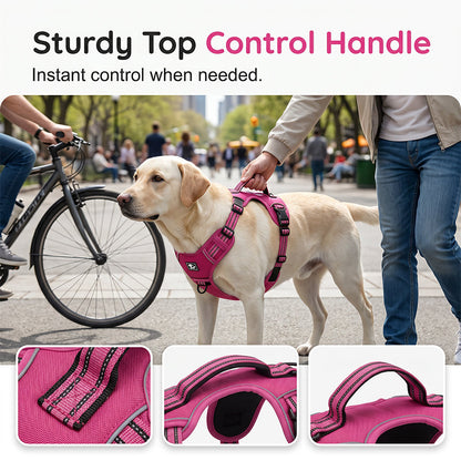 🐾🔥 Take Control of Every Walk | Heavy-Duty No-Pull Dog Harness