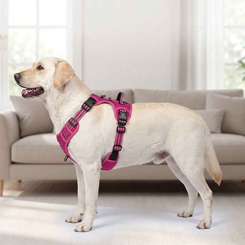 🐾🔥 Take Control of Every Walk | Heavy-Duty No-Pull Dog Harness