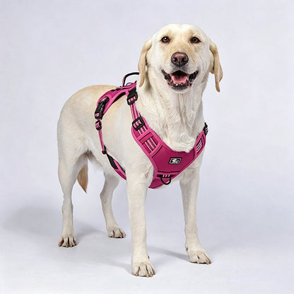 🐾🔥 Take Control of Every Walk | Heavy-Duty No-Pull Dog Harness