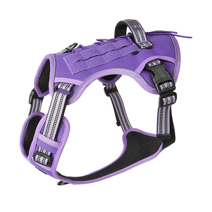 🐾🔥 Take Control of Every Walk | Heavy-Duty No-Pull Dog Harness